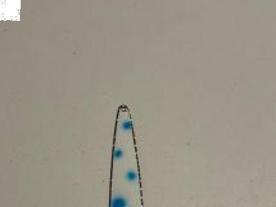 Blue Dot Super Glow